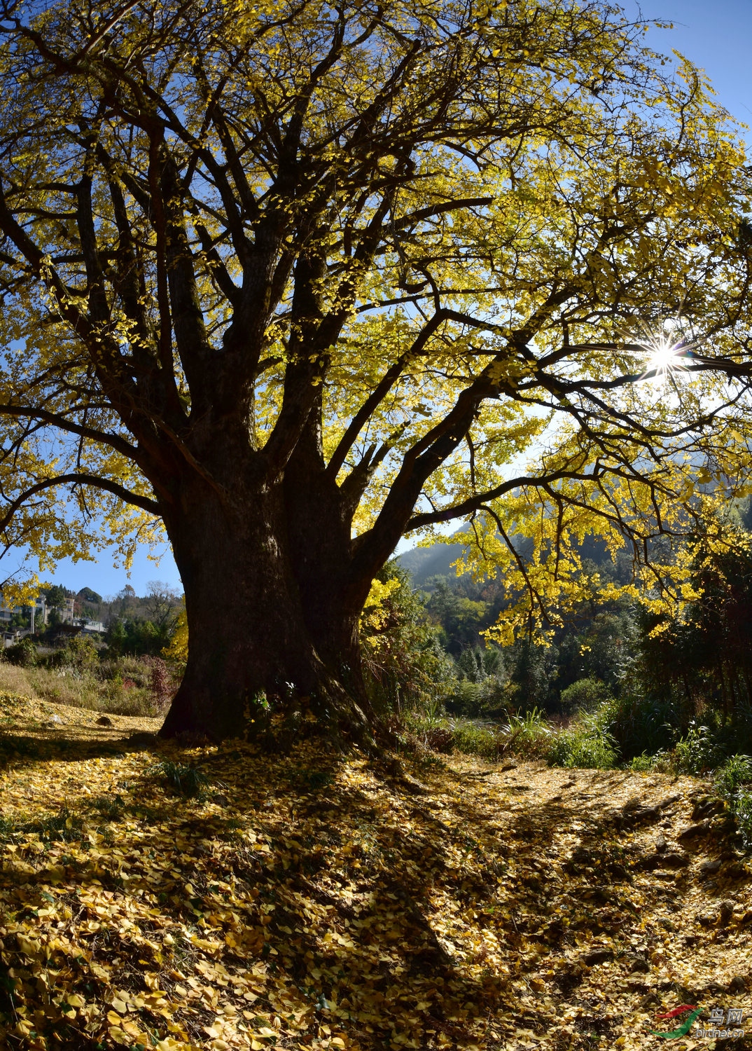 D8I_3065.jpg