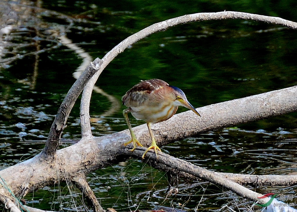 DSC_5876.JPG