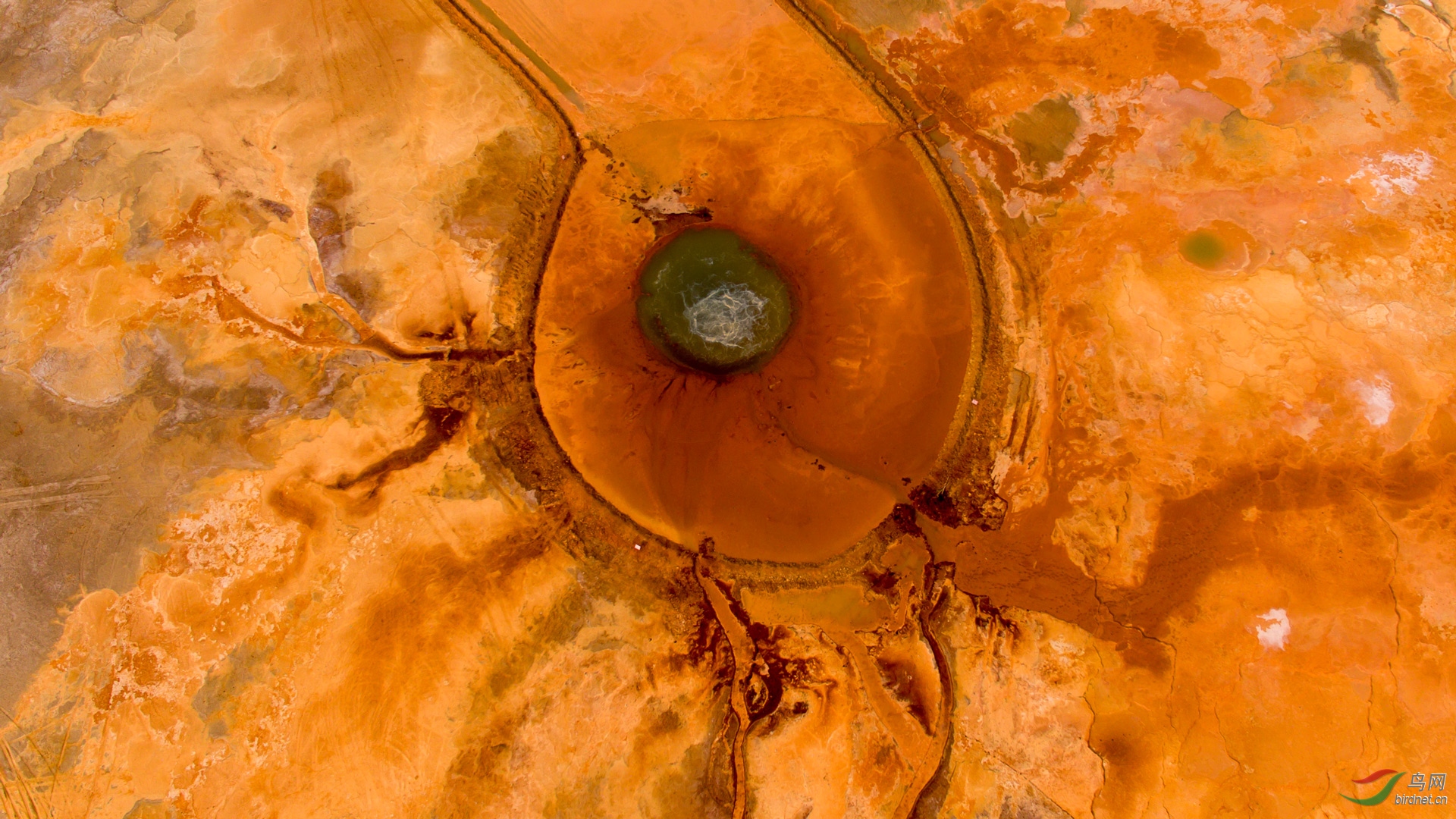 DJI_0071.jpg