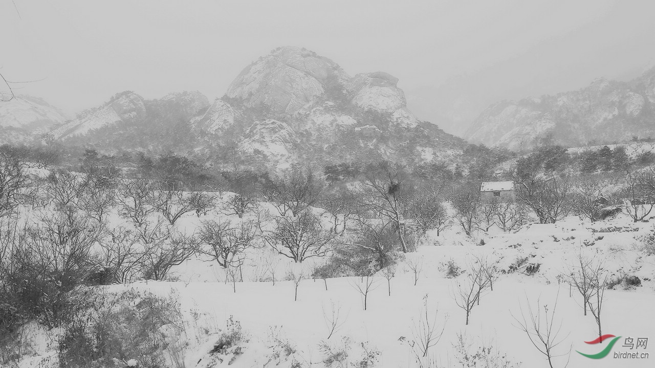 TX0A6875.jpg