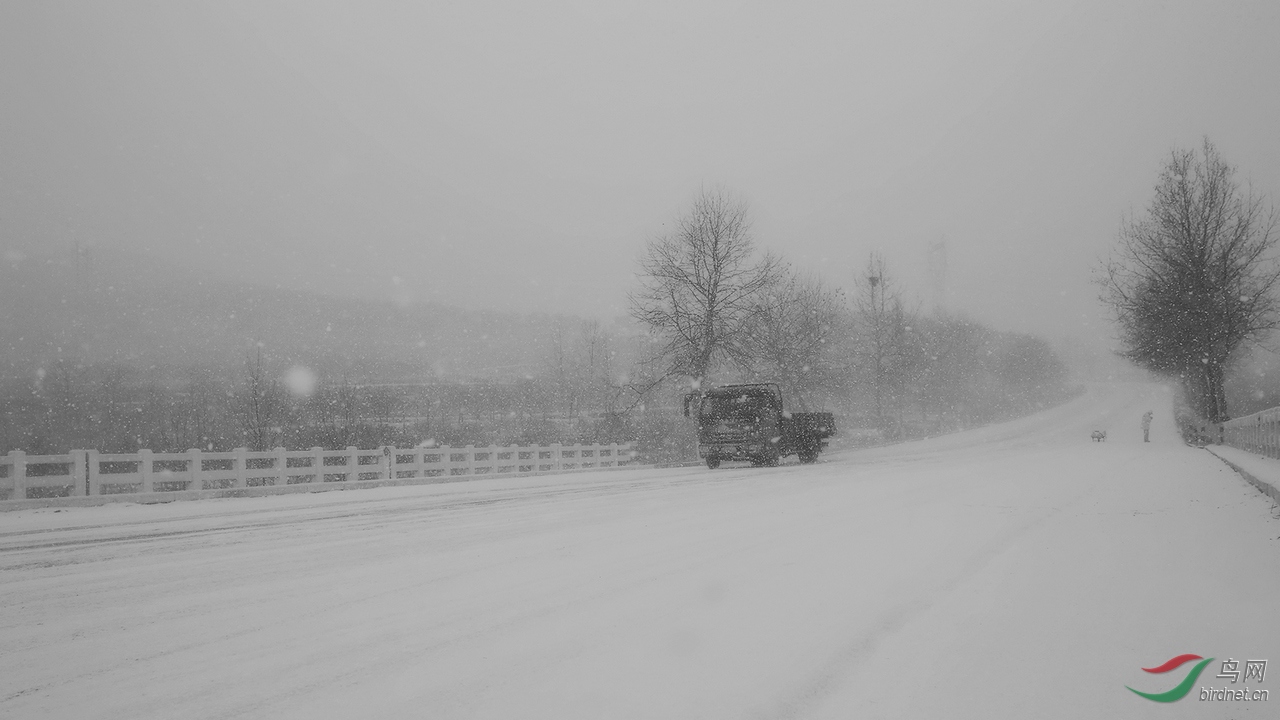 TX0A6672.jpg