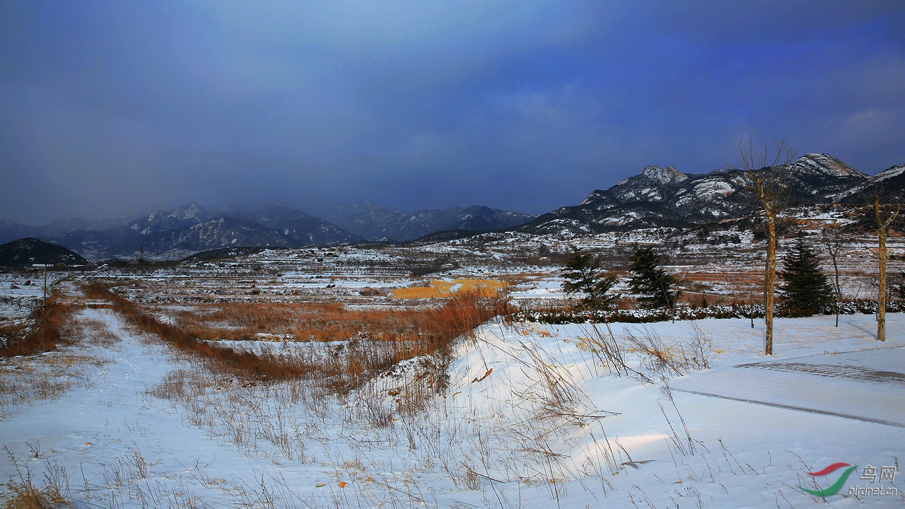 TX0A6962.jpg