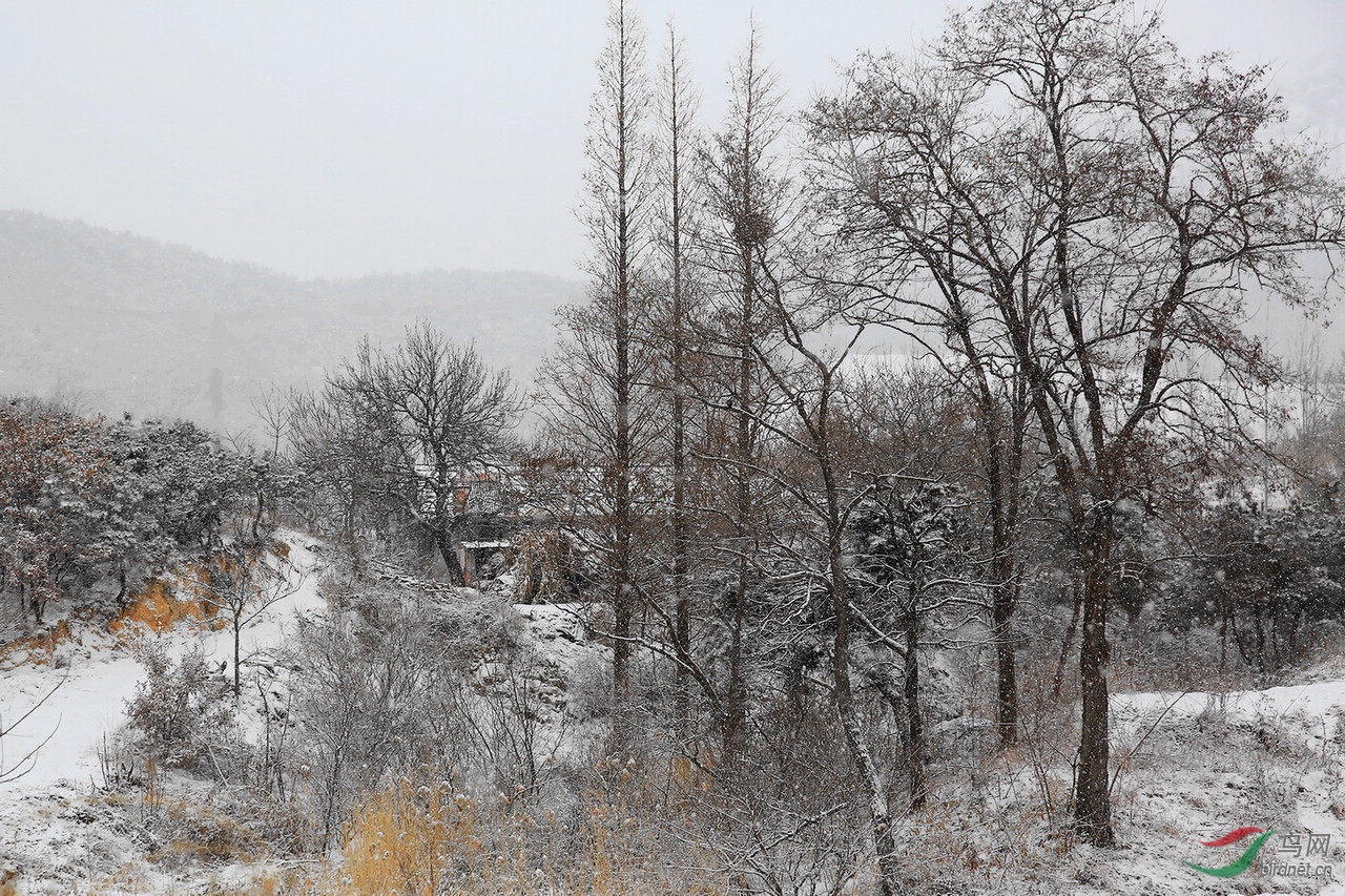 TX0A6719.jpg