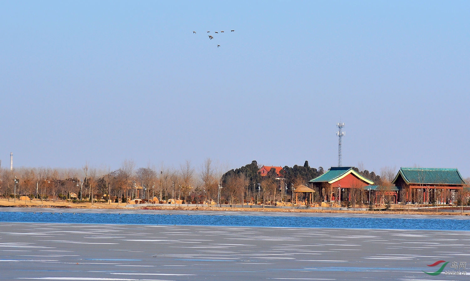 DSC_6233.JPG