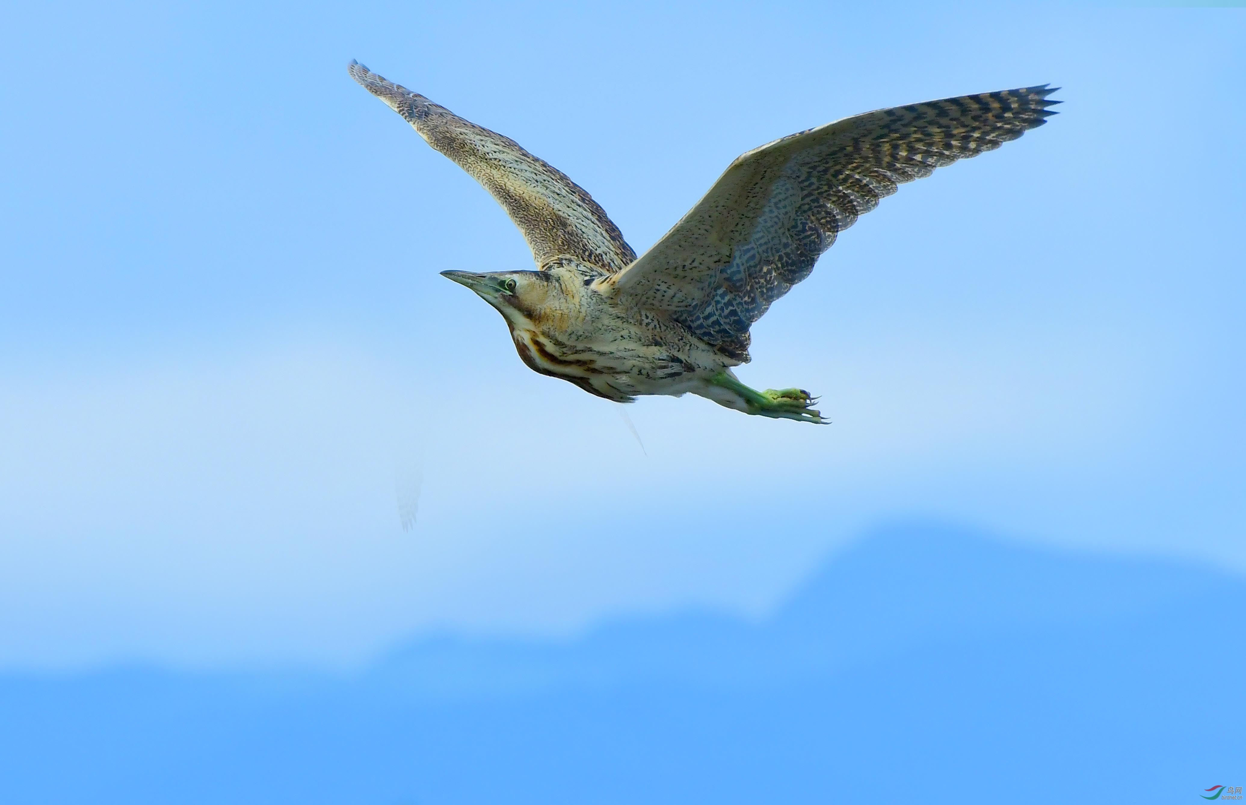 �����  ͼƬ (25).jpg