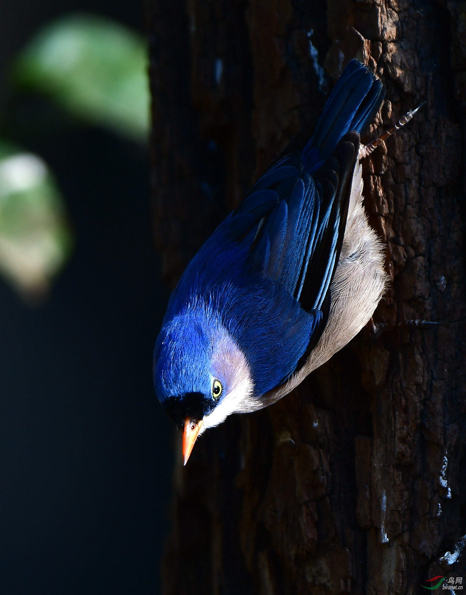 DSC_0475_�����޶�.jpg