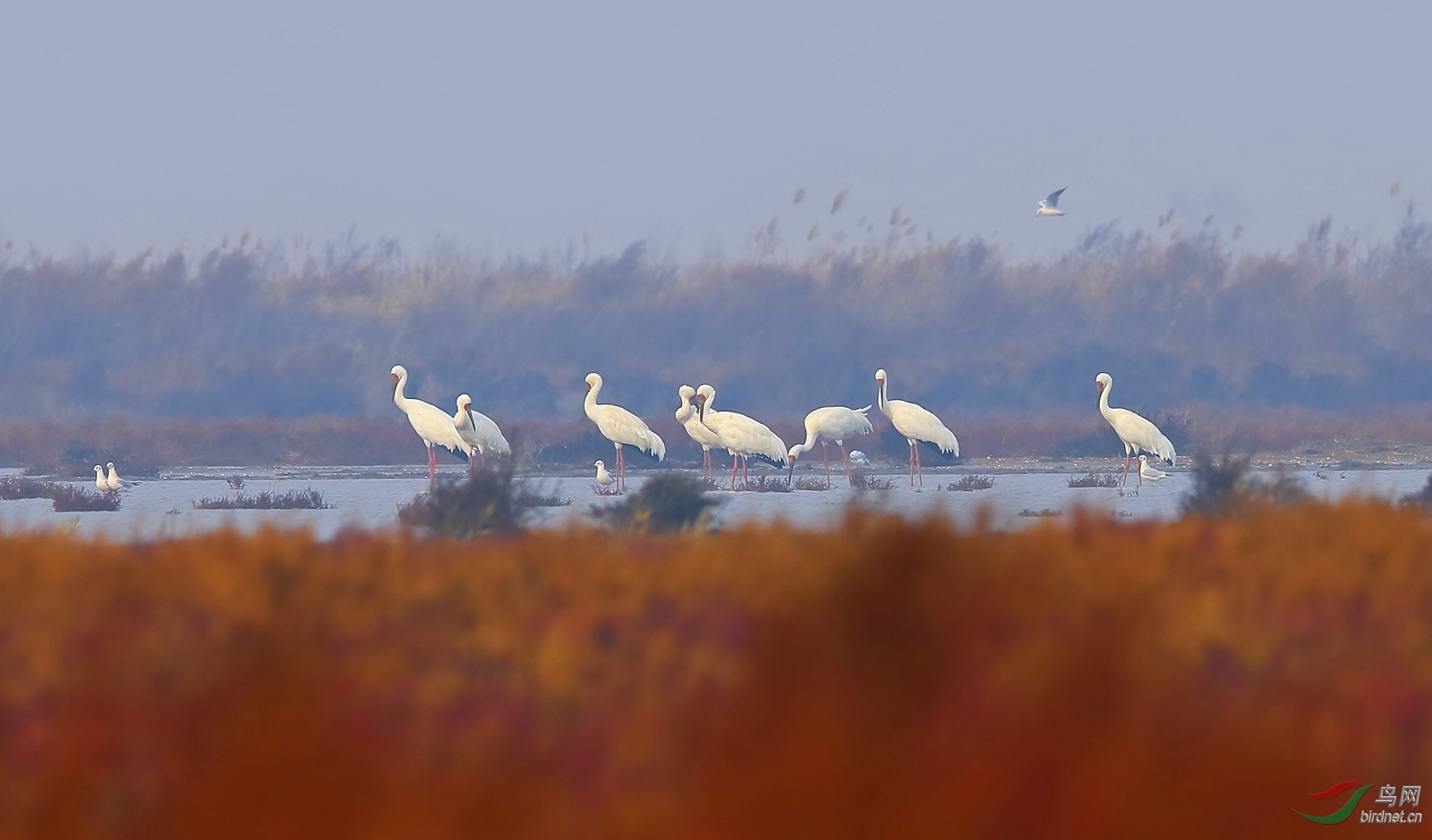 �׺�-49.1.JPG