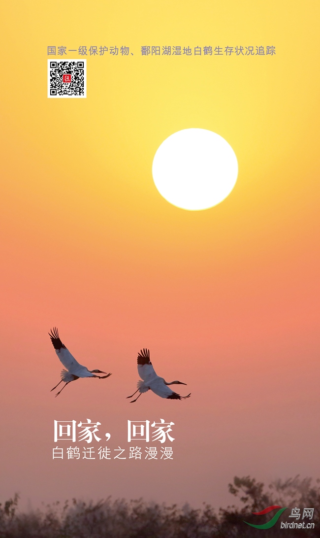 �׺׺�����.jpg