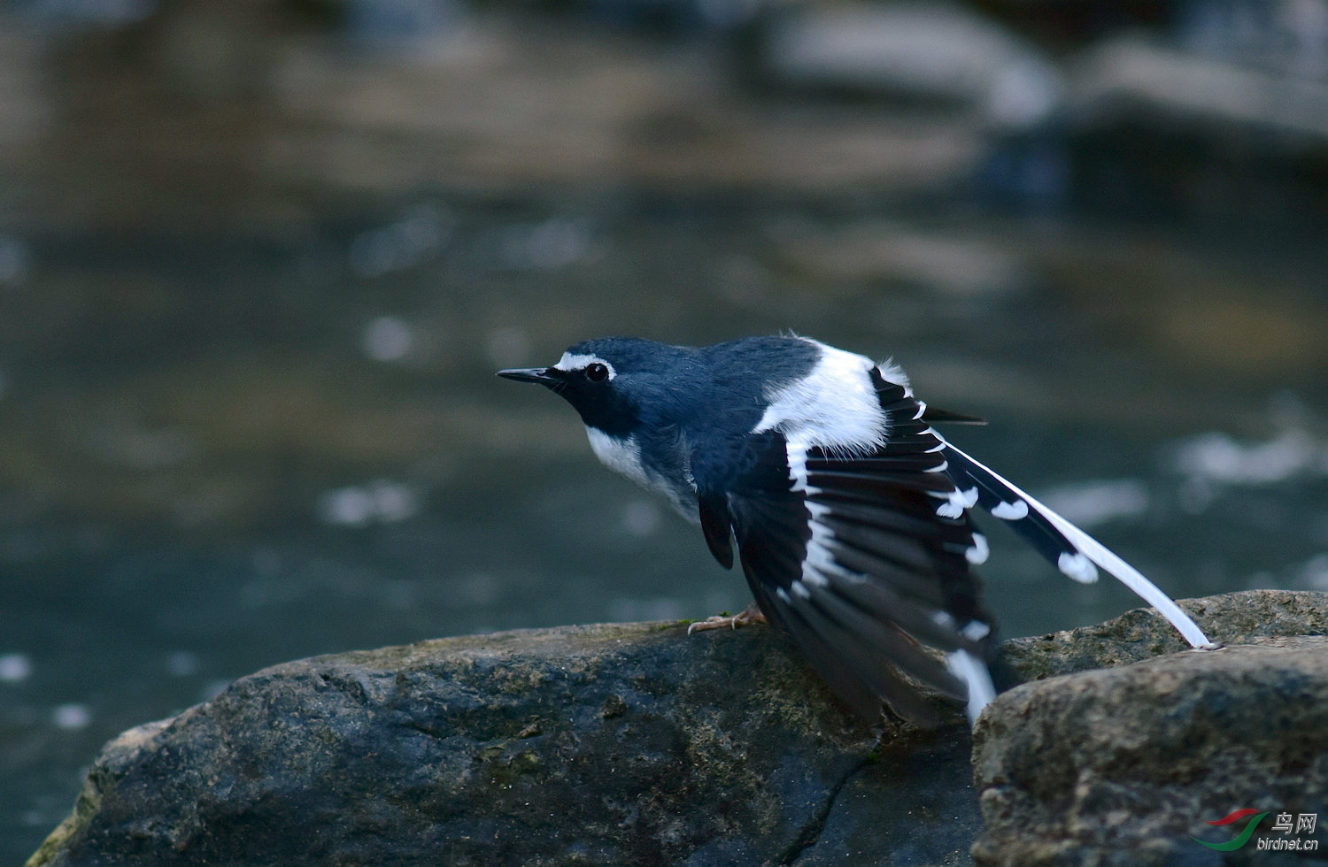 D8I_5660.jpg