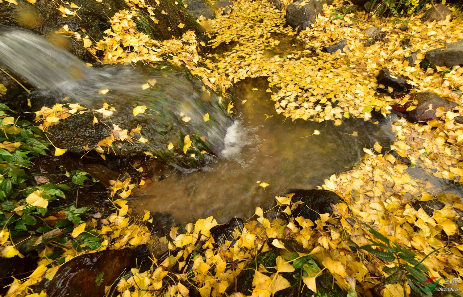 D8I_0895.jpg