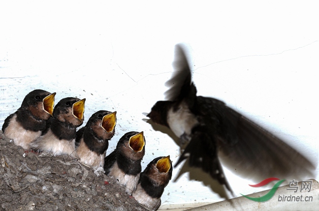 ۩�� �δ�÷ ���� 18553052022.jpg