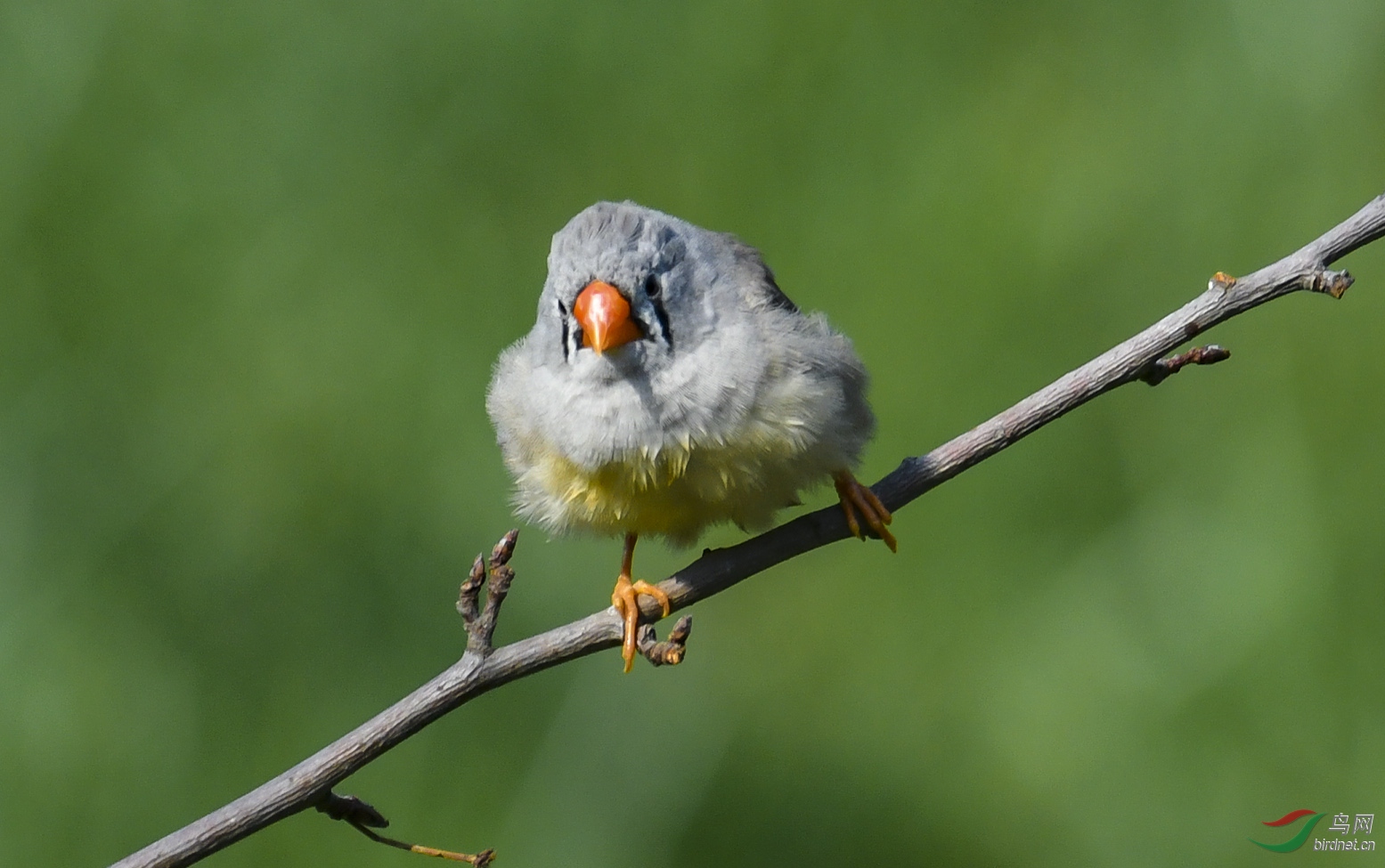 DSC_2766.jpg