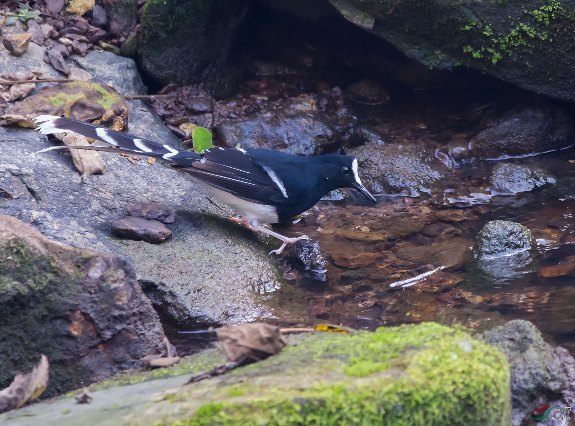 DSC_7577.jpg