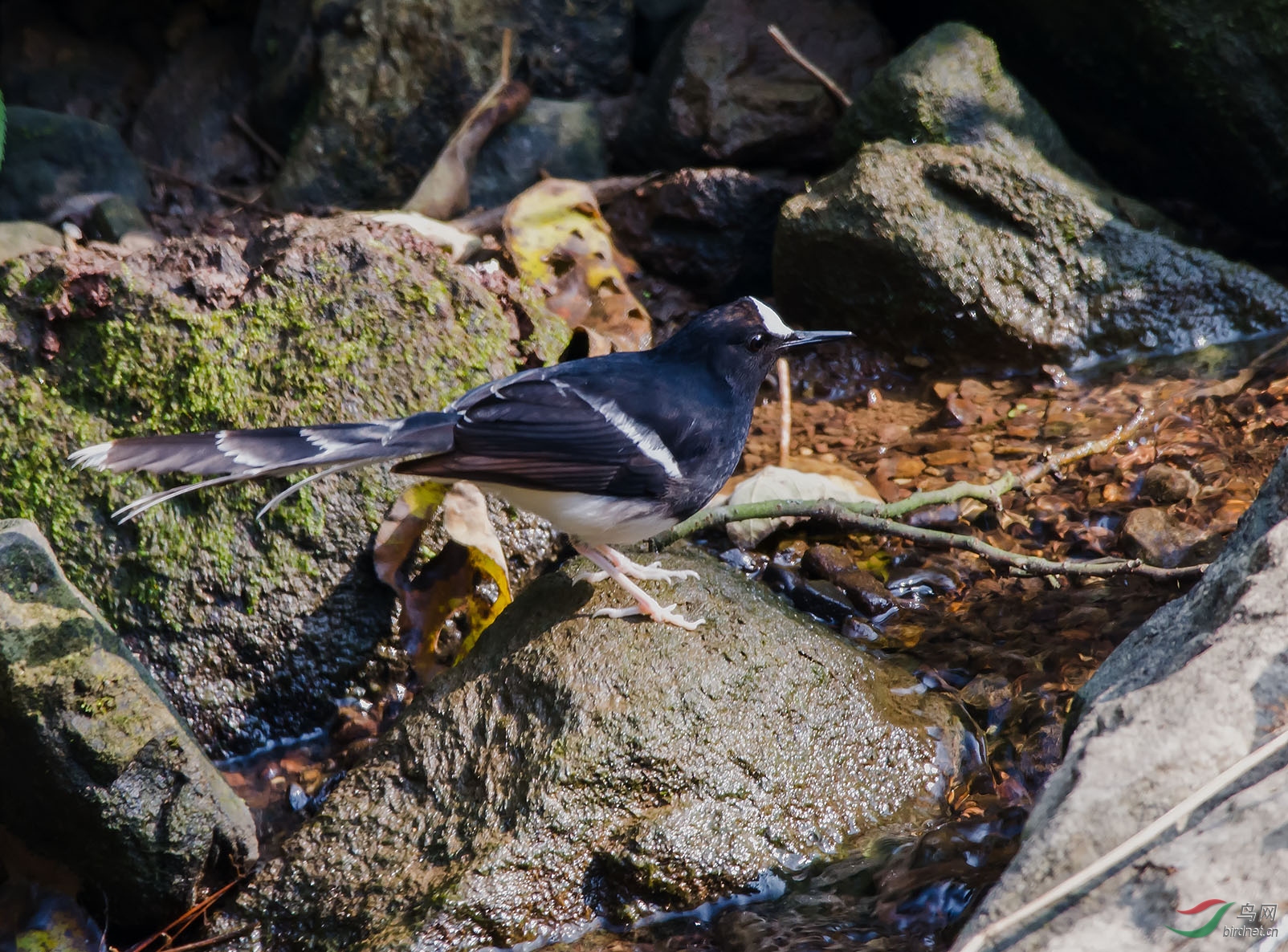 DSC_7772.jpg