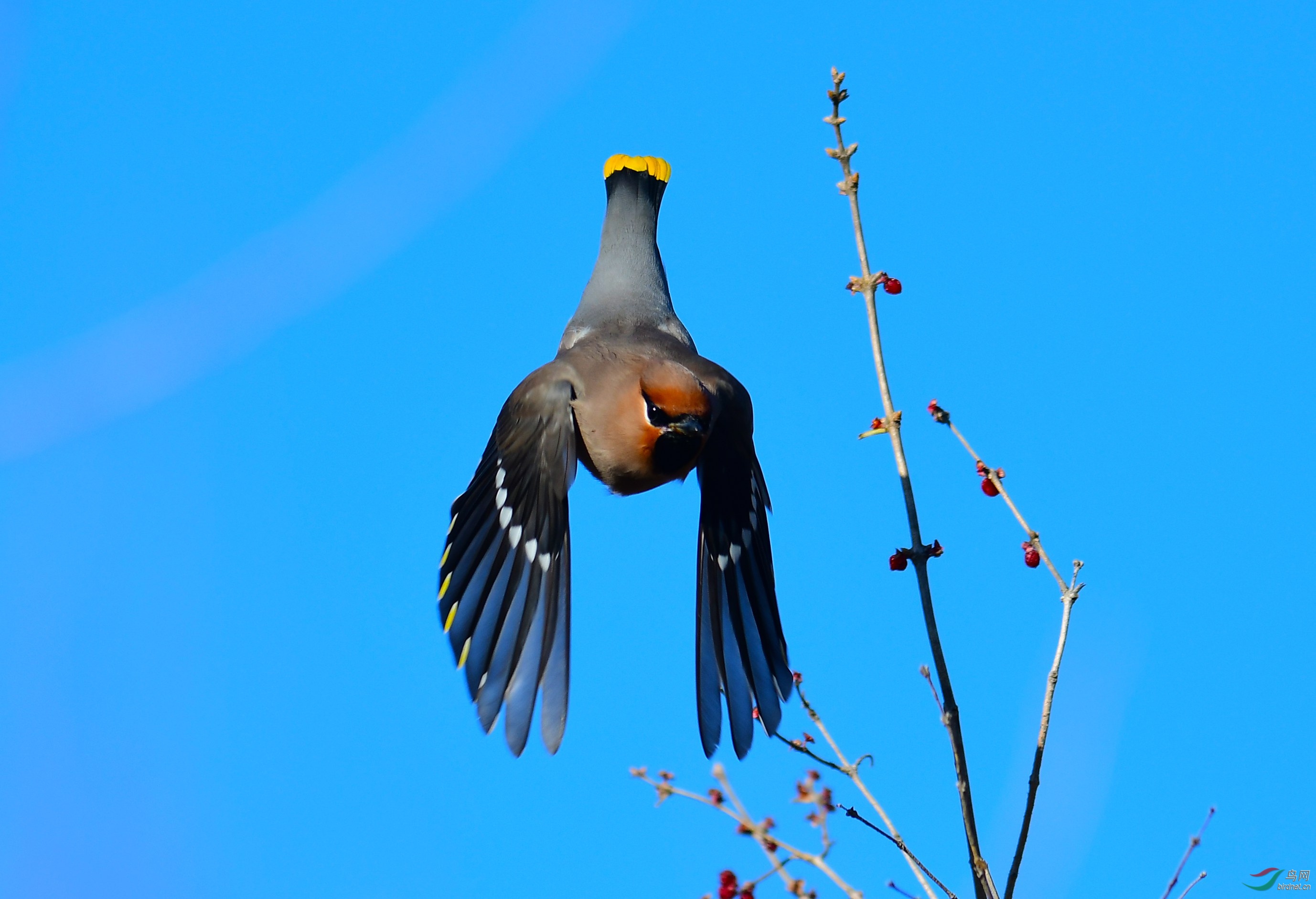 DSC_8139.JPG