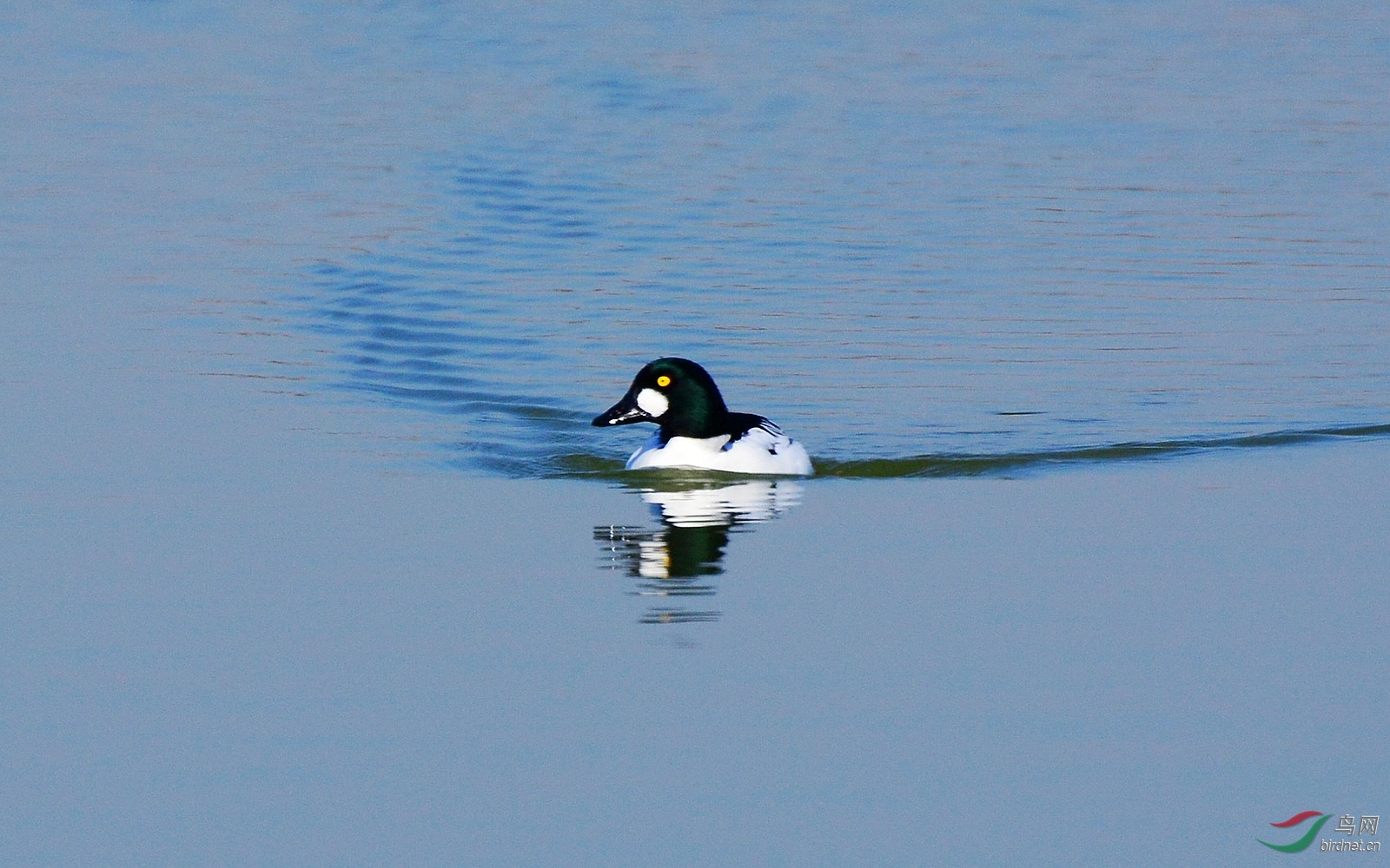 DSC_6502.JPG