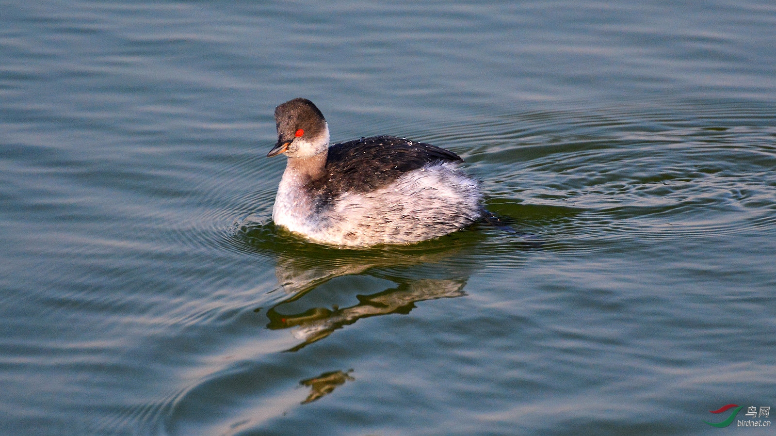DSC_6326.JPG