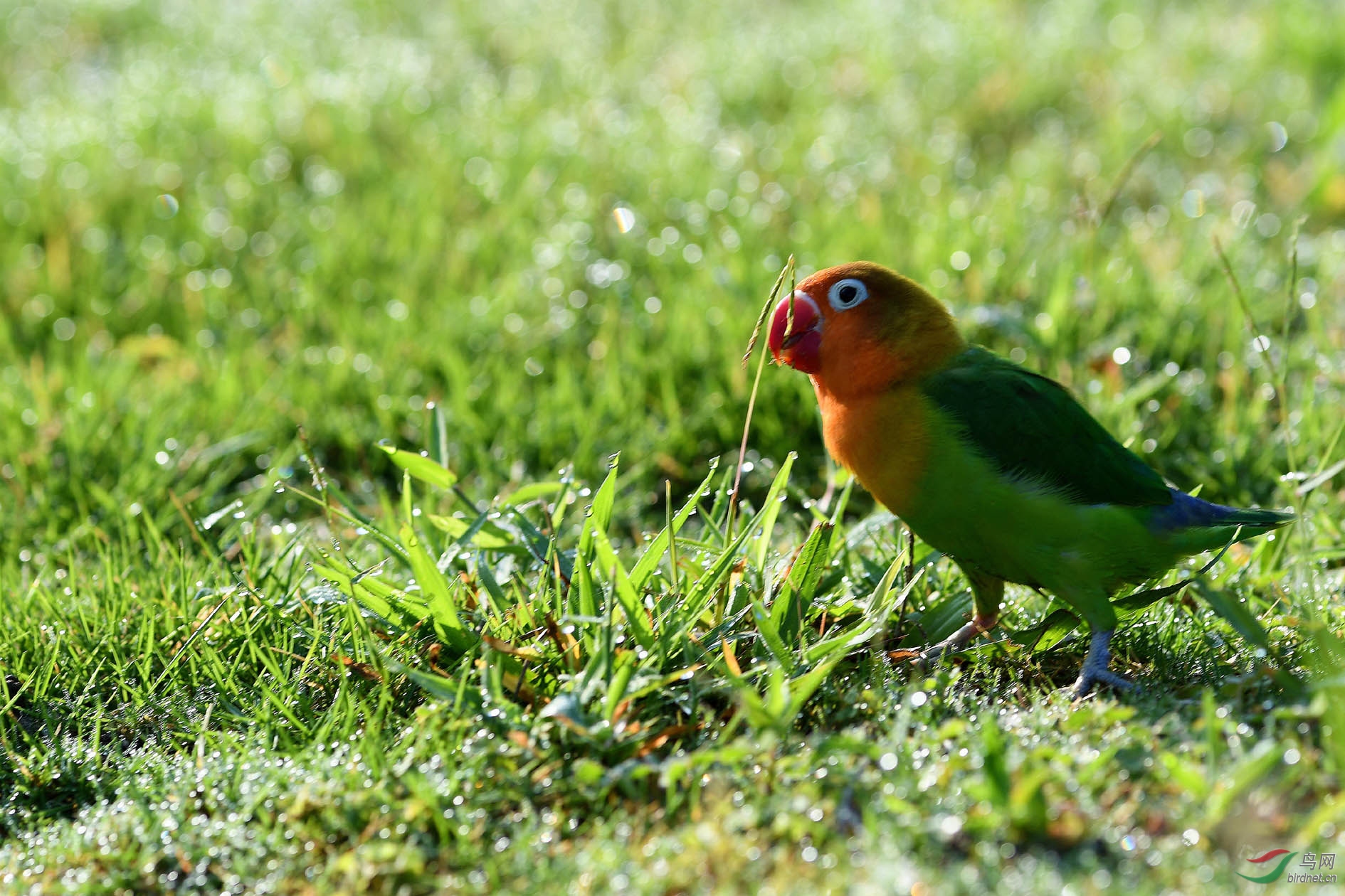 DSC_0626.JPG
