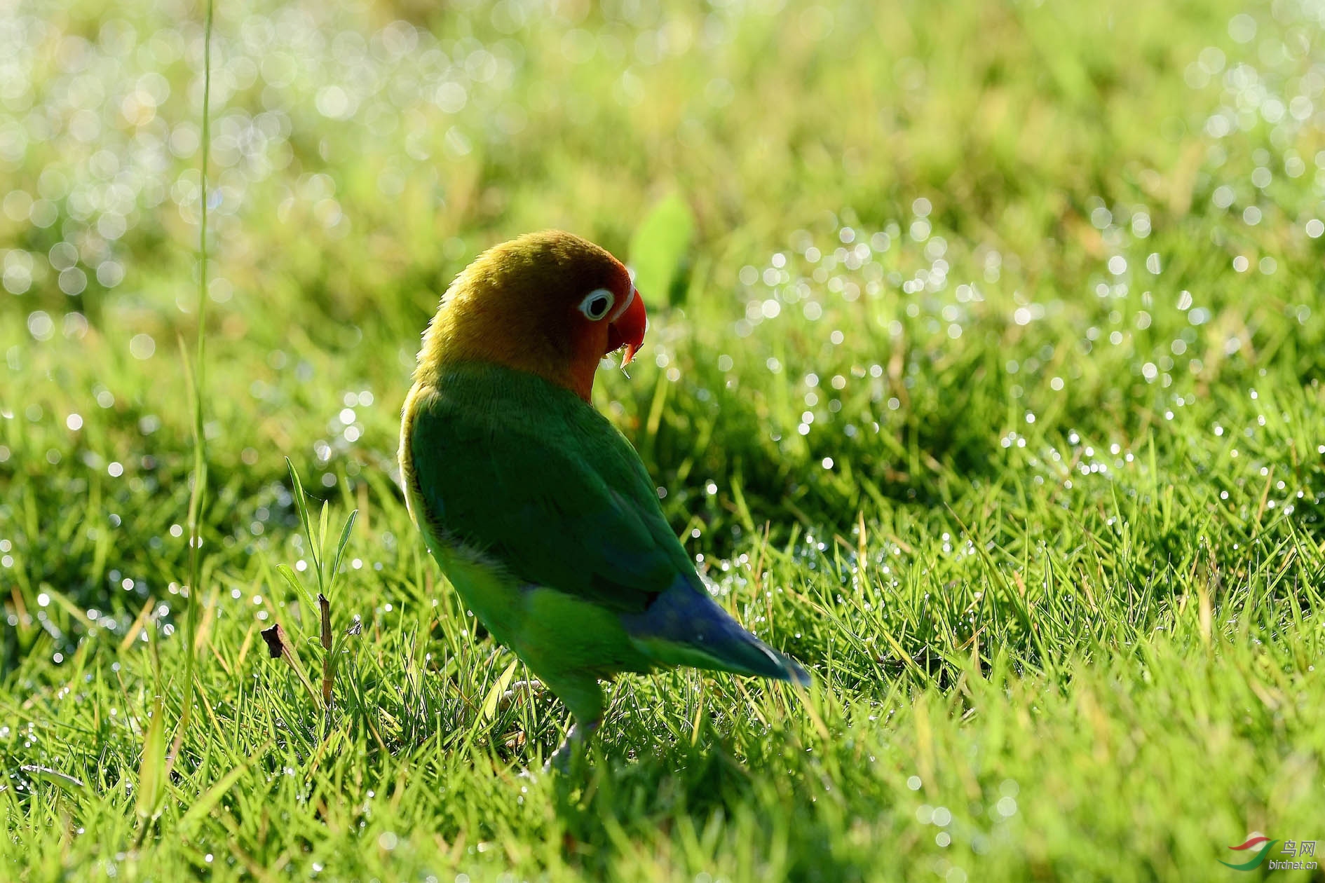 DSC_0574.JPG