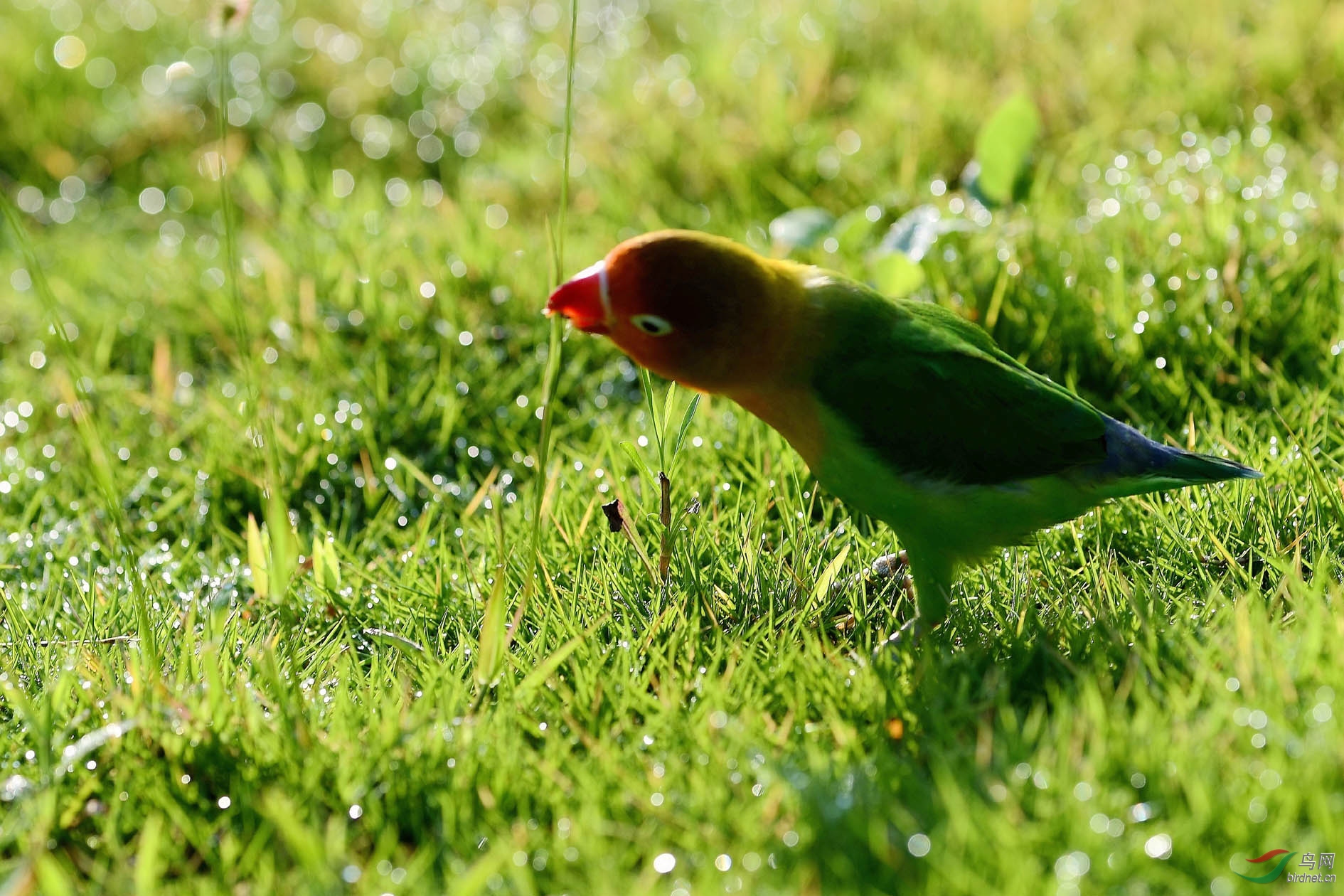 DSC_0576.JPG