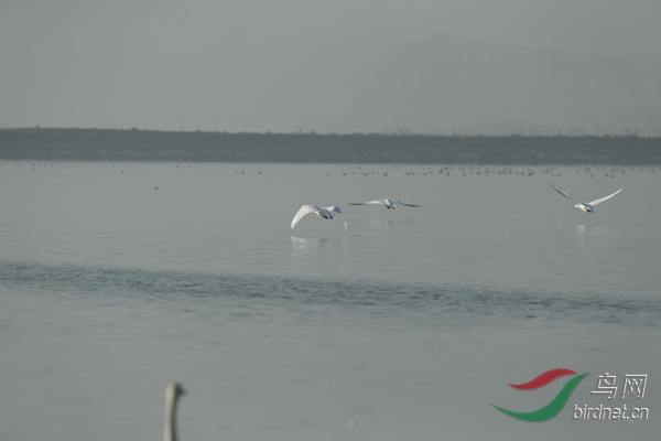 _E8J1080.jpg