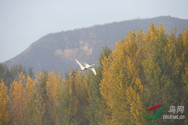 _E8J0309.jpg