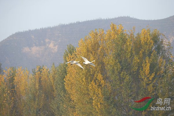 _E8J0313.jpg