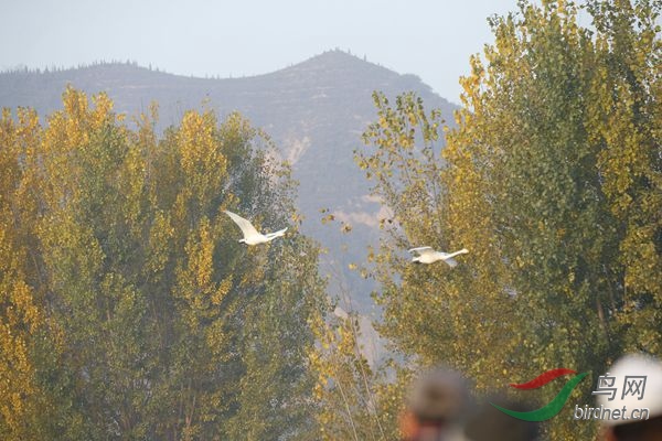_E8J0323.jpg