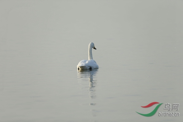 _E8J0379.jpg