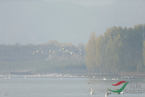 _E8J0451.jpg