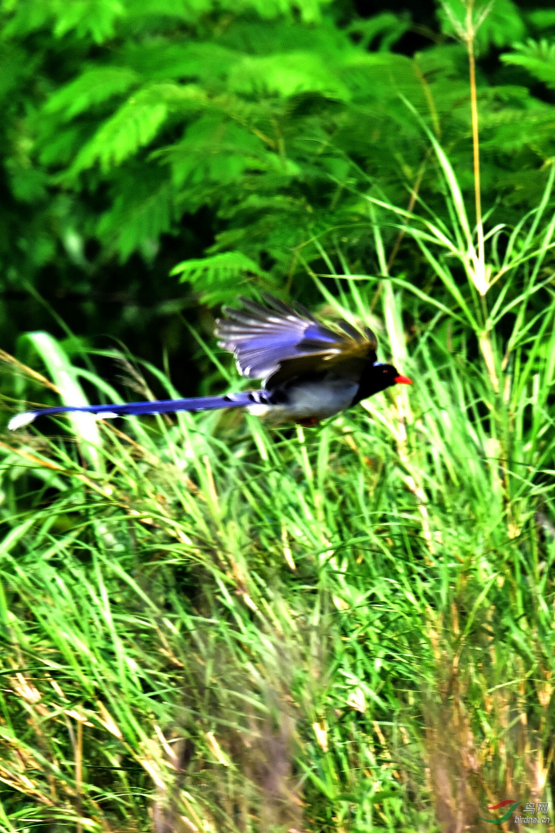 DSC_0909.JPG