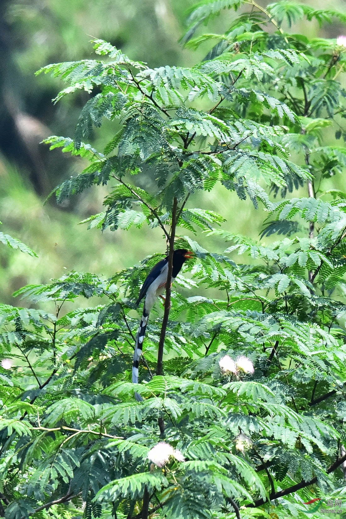 DSC_0910.JPG