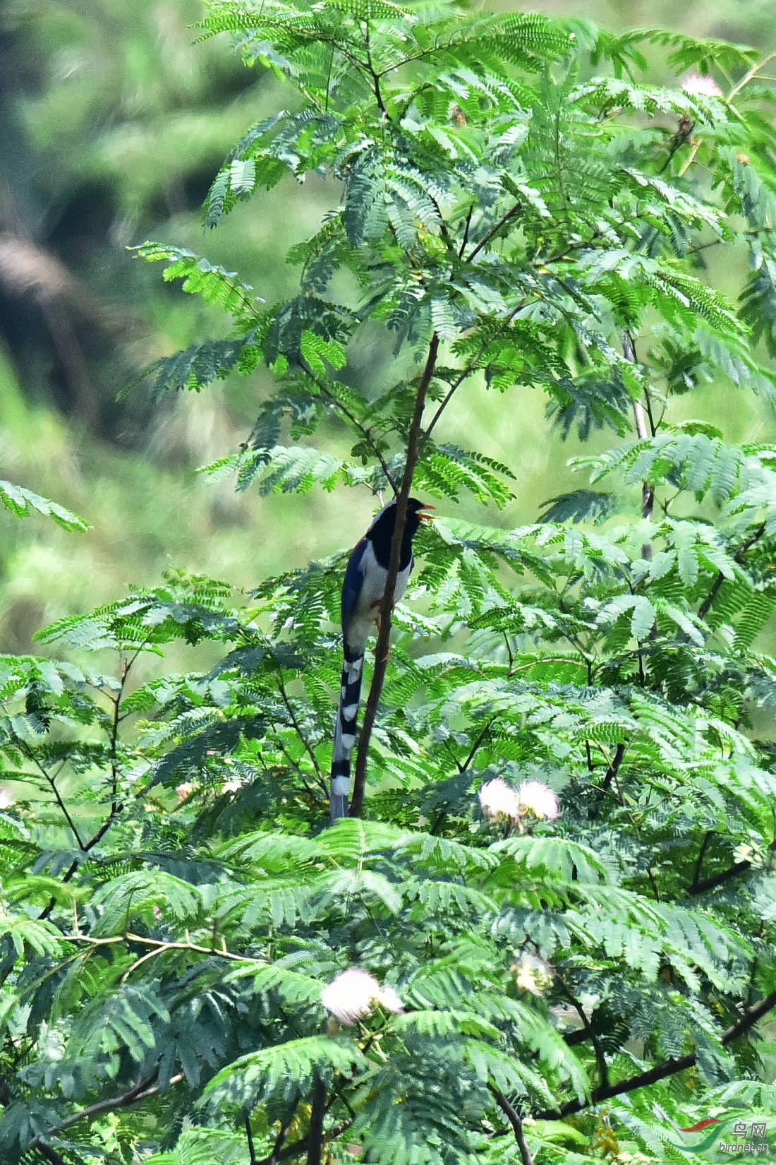 DSC_0913.JPG