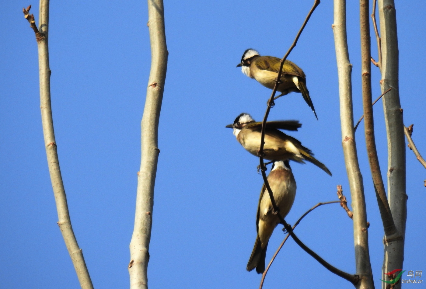 DSCN9510.JPG