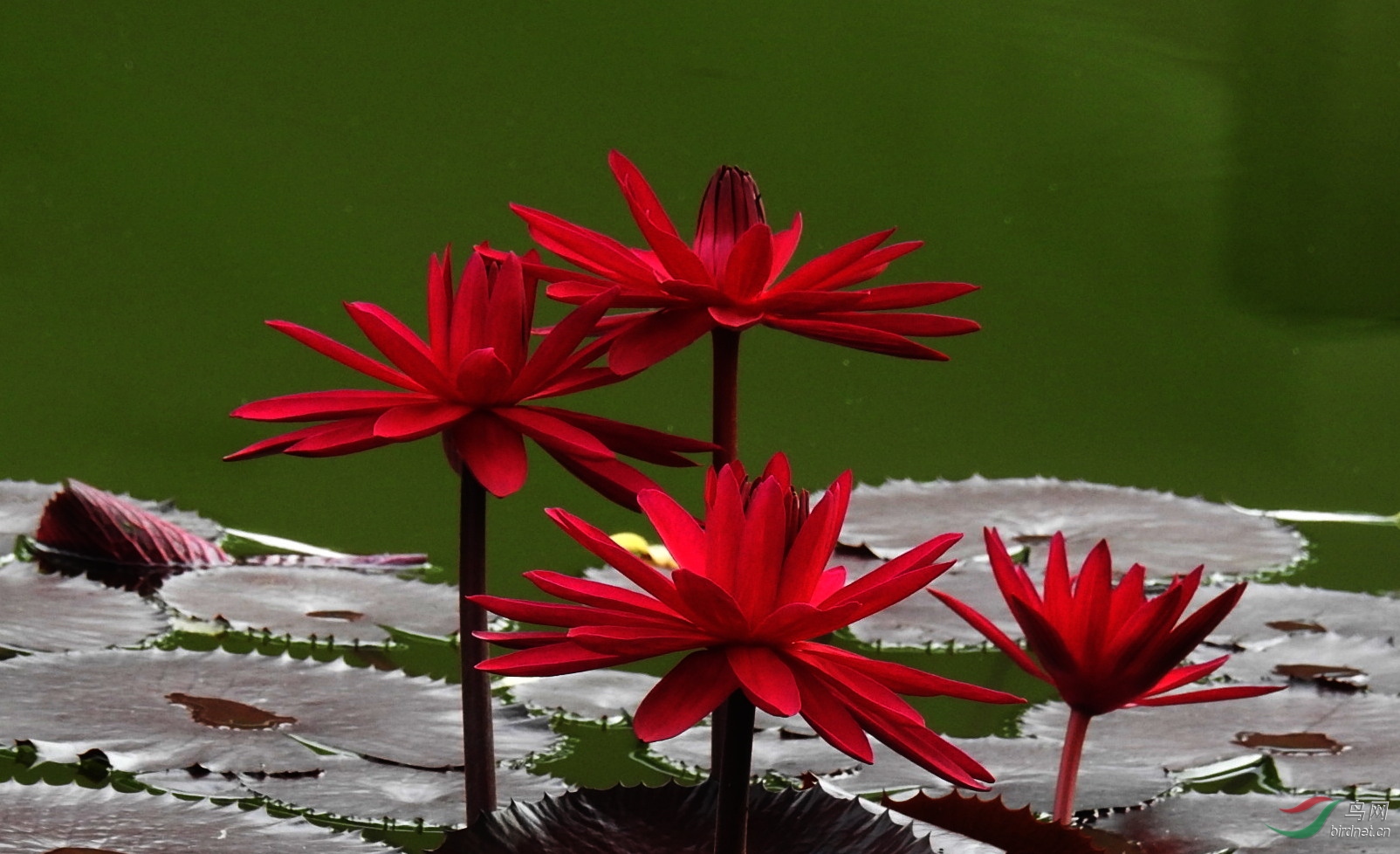 DSCN4962.JPG