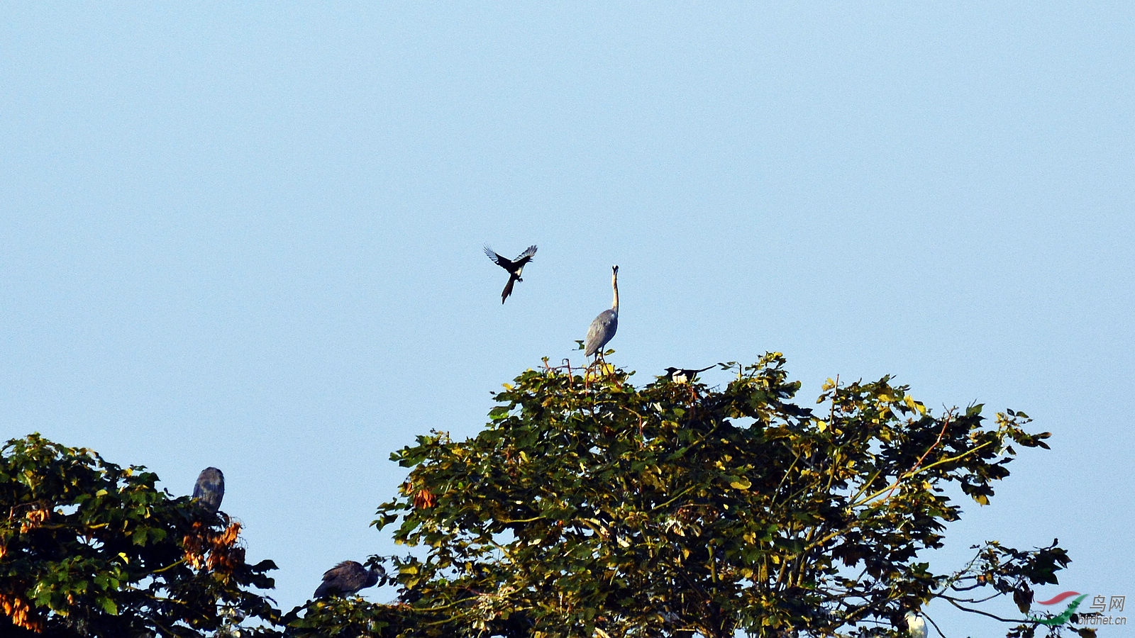 DSC_1428.JPG