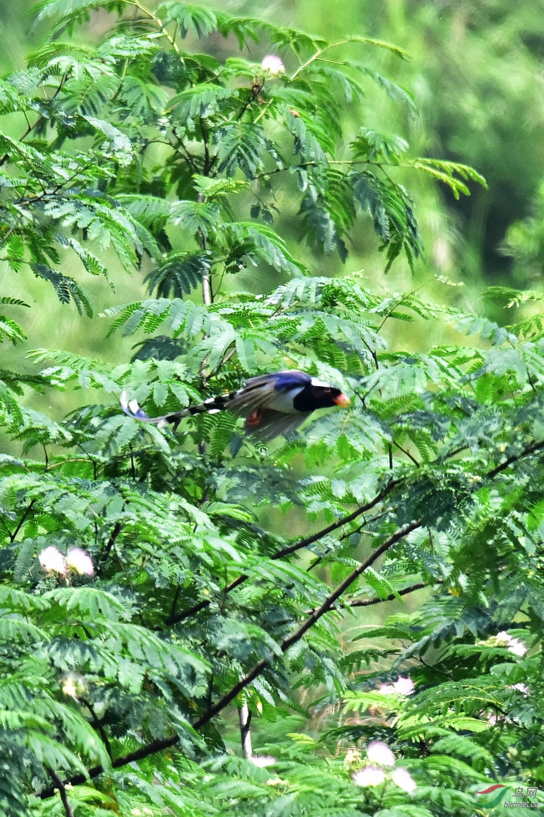 DSC_0917.JPG