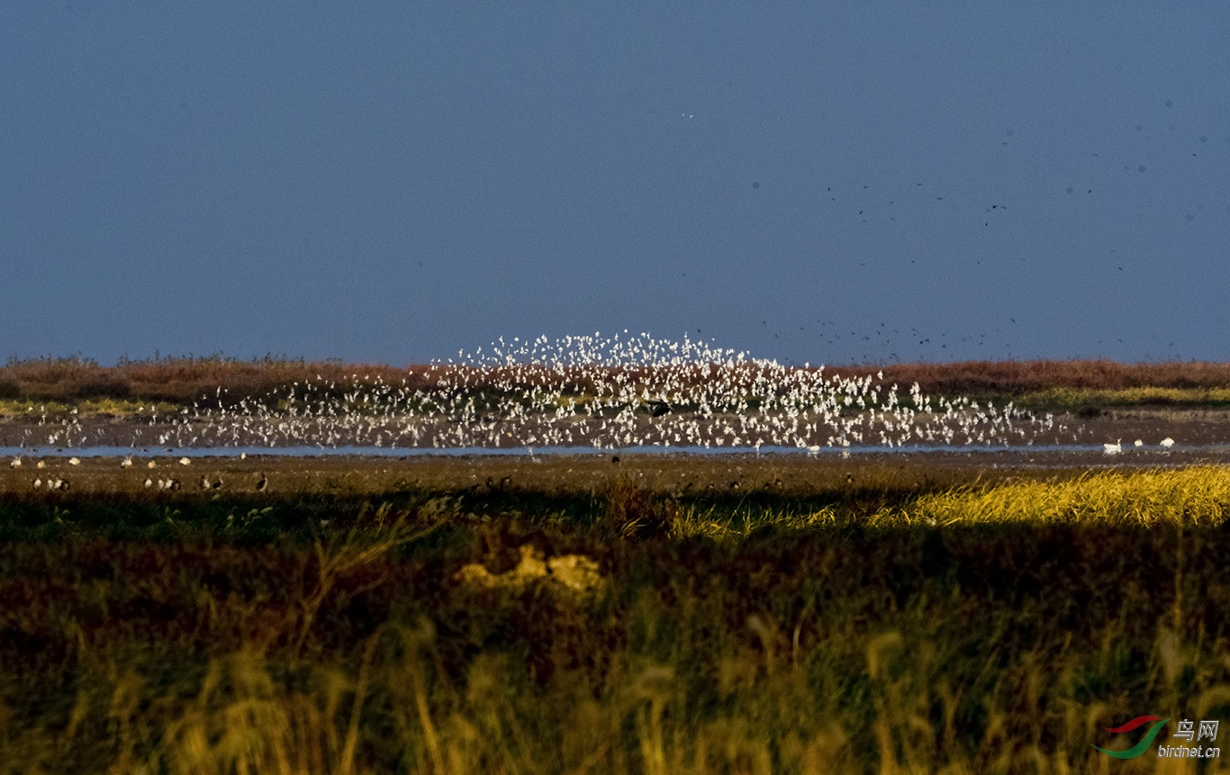DSC_5176.jpg