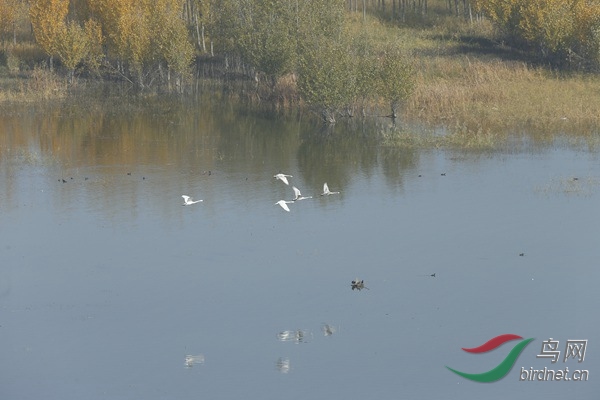 _E8J1212.jpg