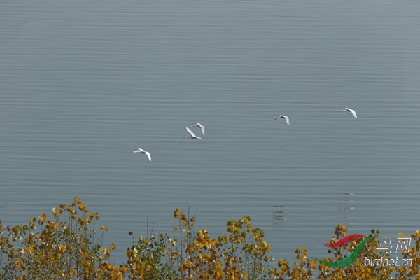 _E8J1287.jpg