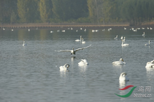 _E8J1082.jpg