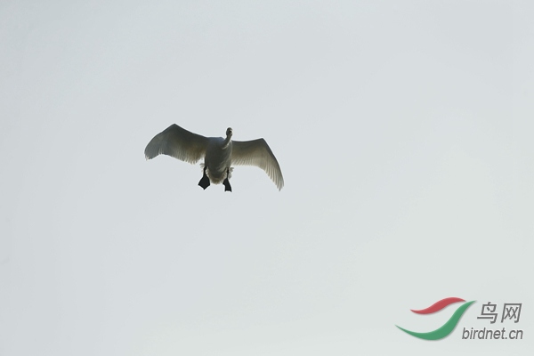 _E8J1110.jpg