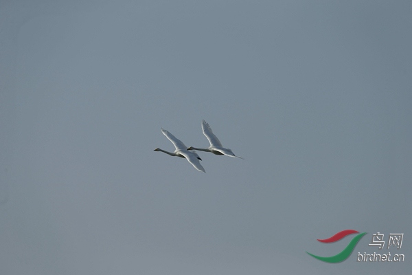 _E8J1120.jpg