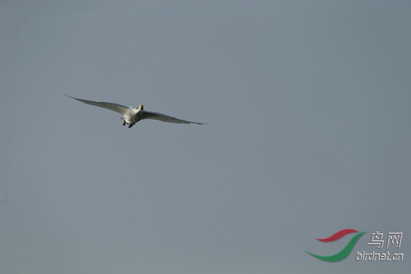 _E8J1127.jpg