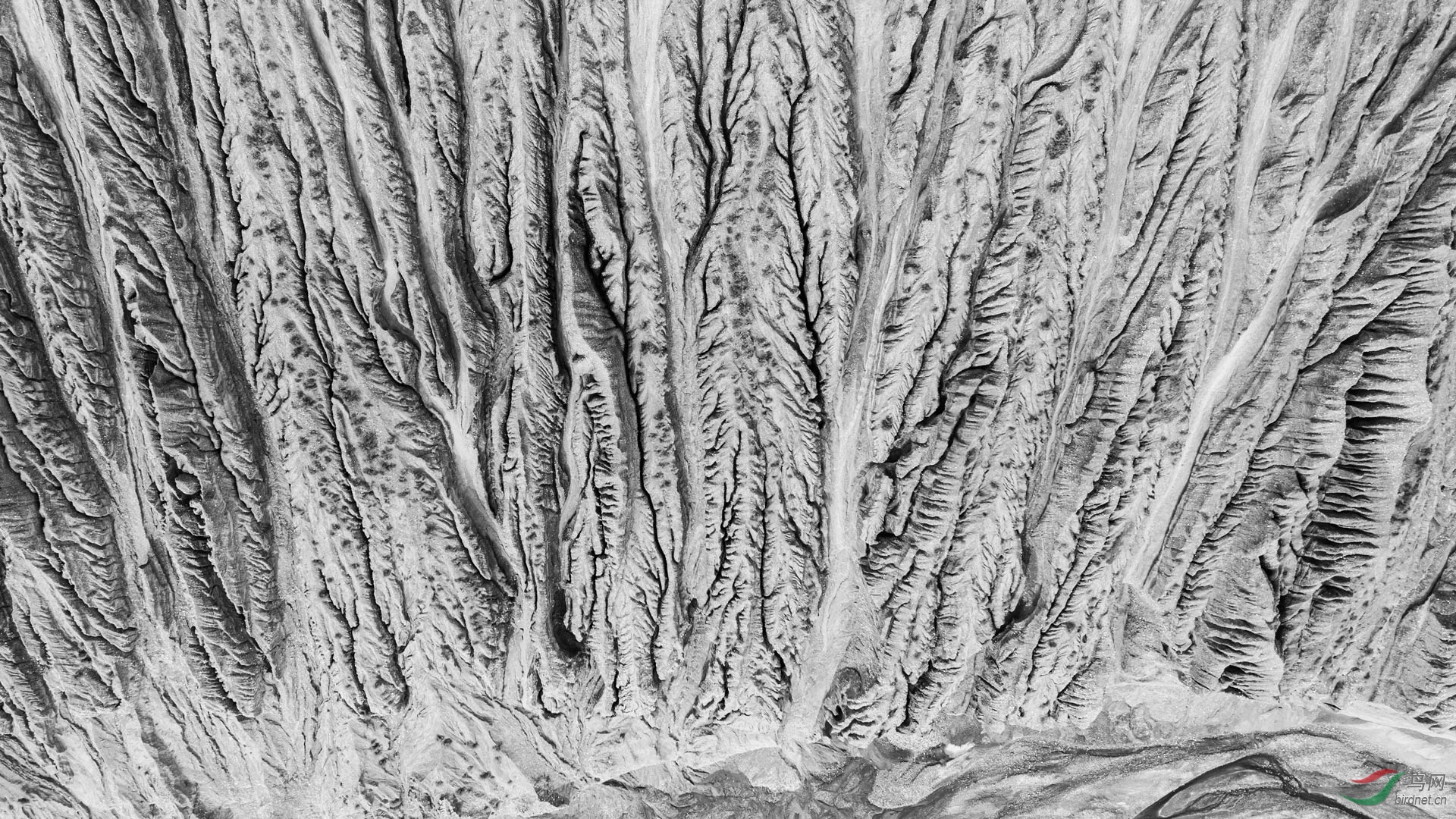 DJI_0485-1.jpg