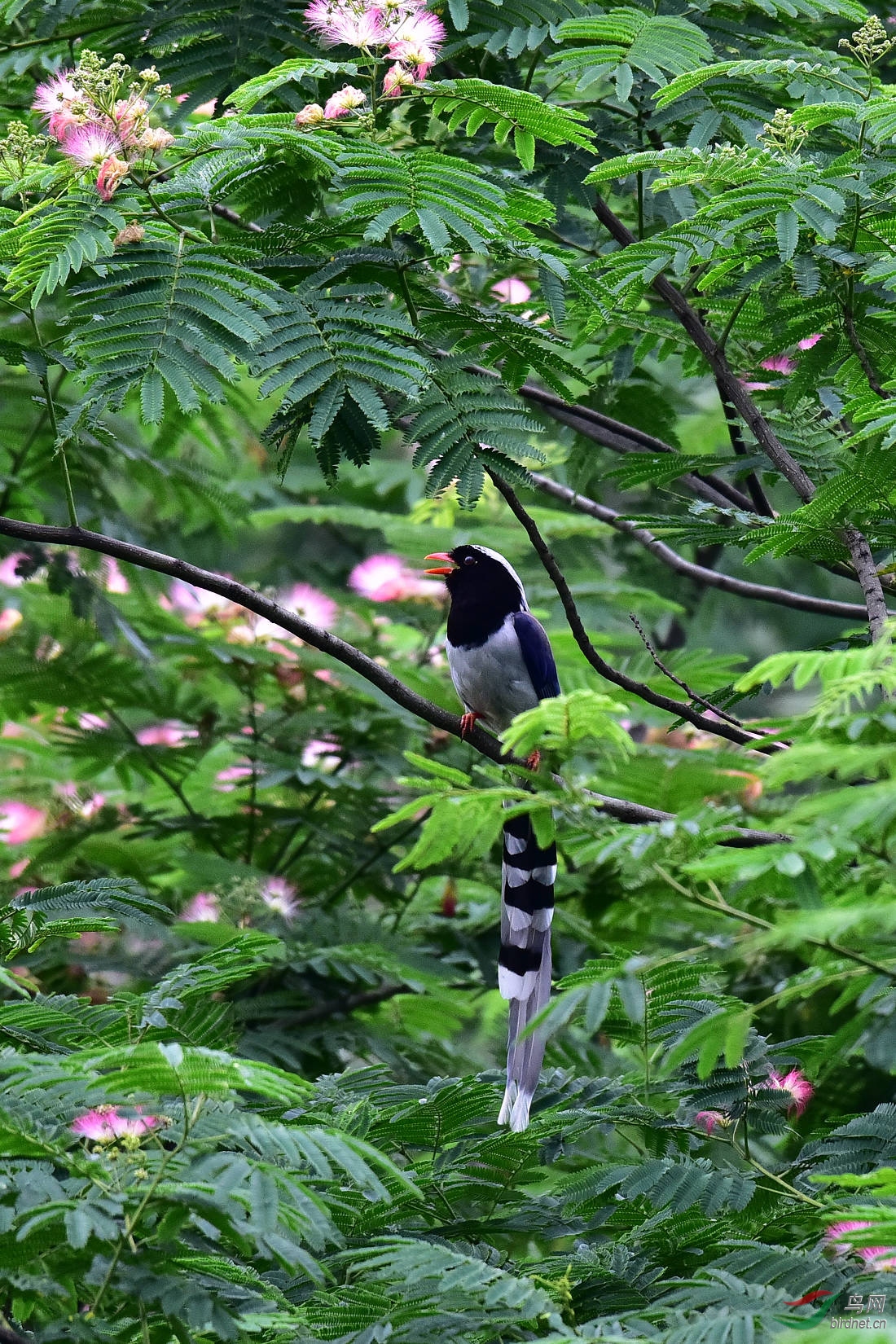 DSC_0922.JPG