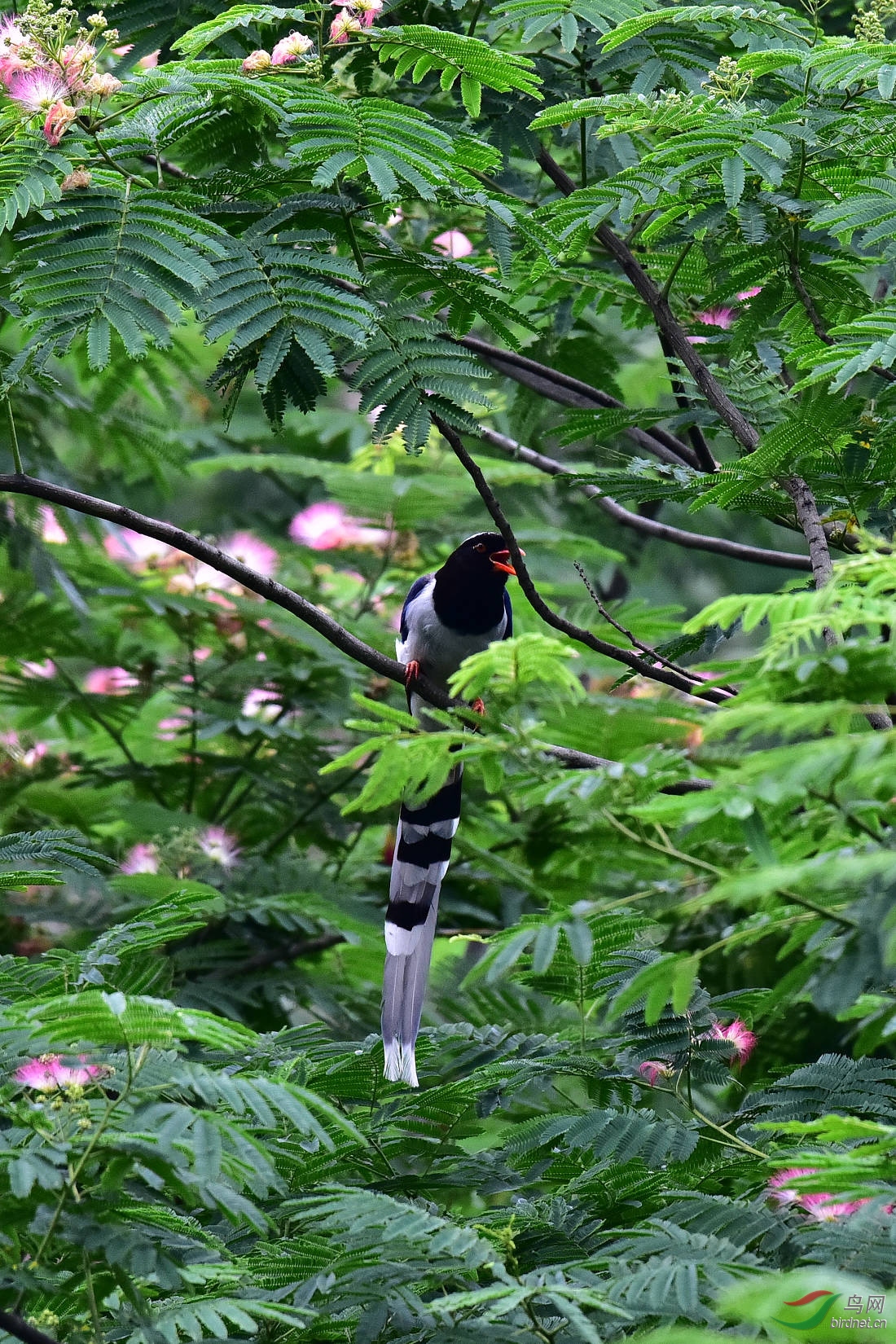 DSC_0923.JPG