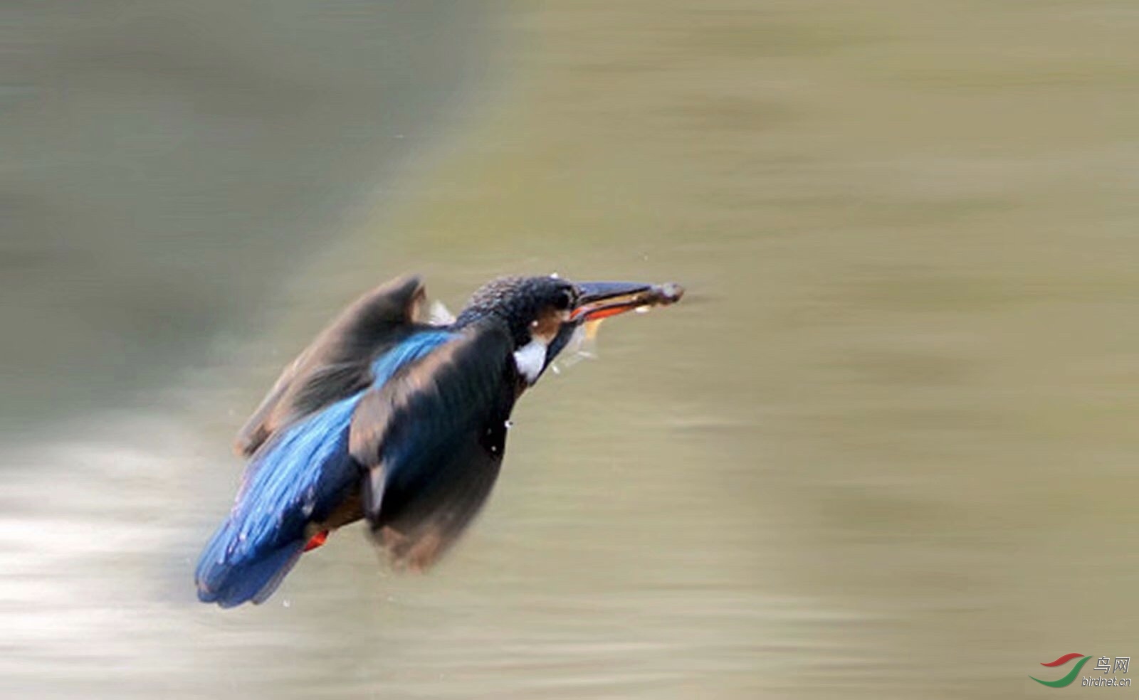 1C461042-C4CB-4069-AB09-B792296DF5CD.jpeg