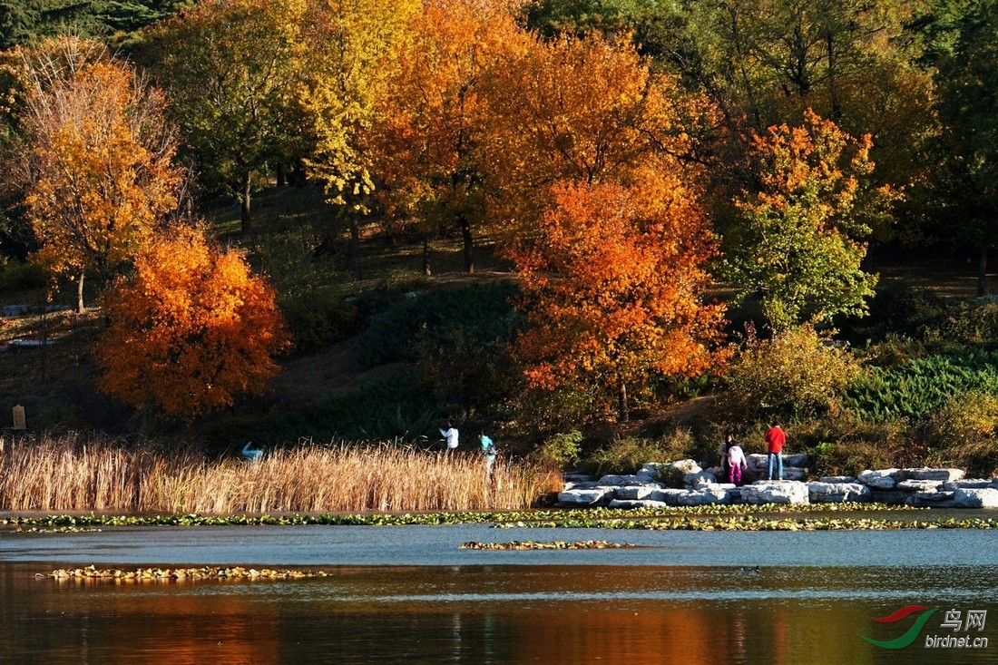 DSC01606 - ����.JPG