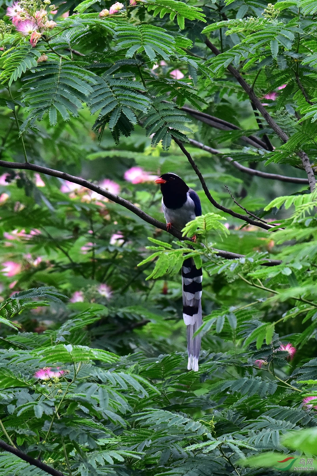 DSC_0928.JPG